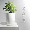 TrustBasket Blossom 12 Inch - Image 5