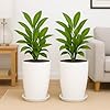 TrustBasket Blossom 12 Inch